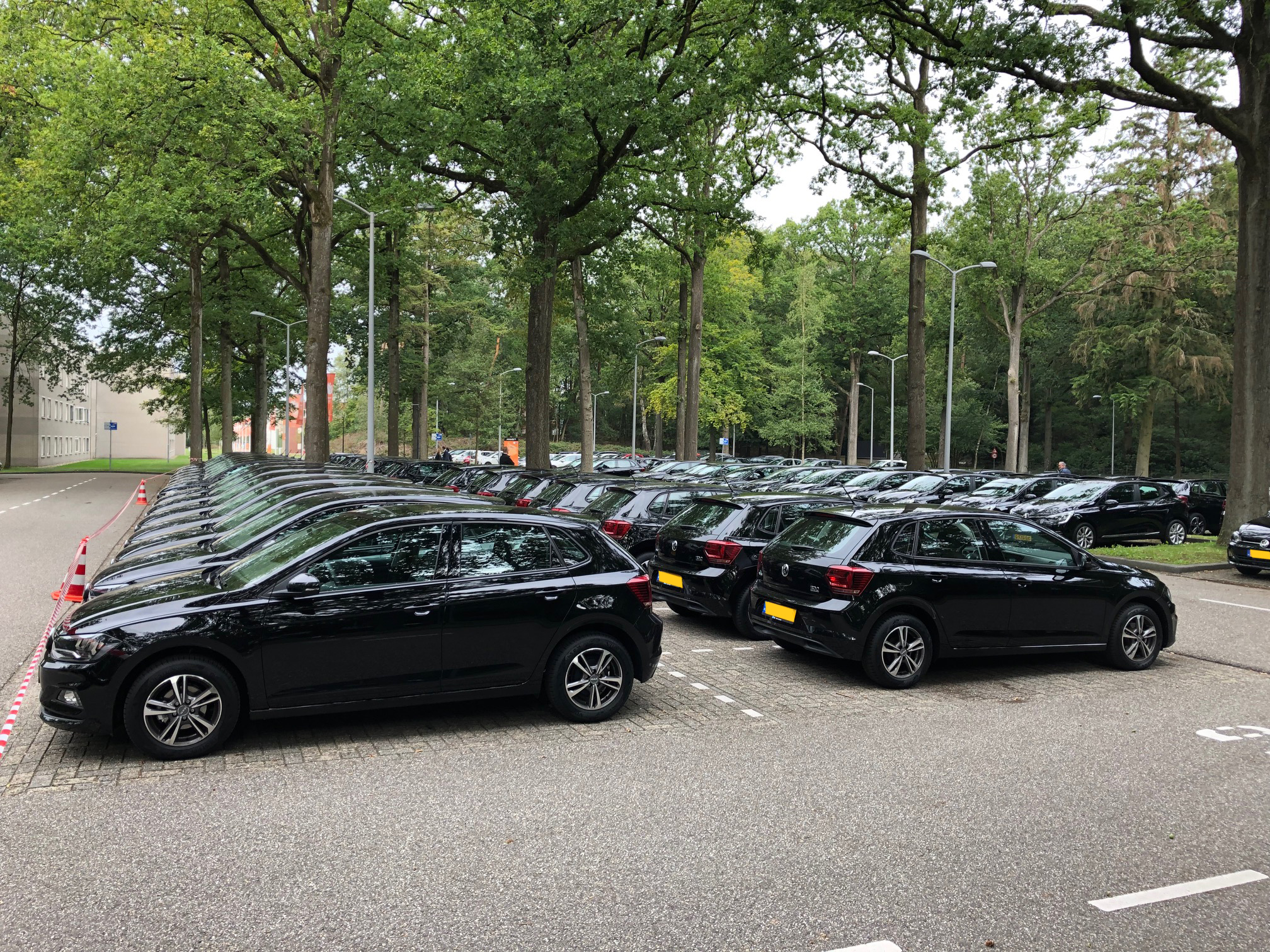 bdo aflevering 60x polo