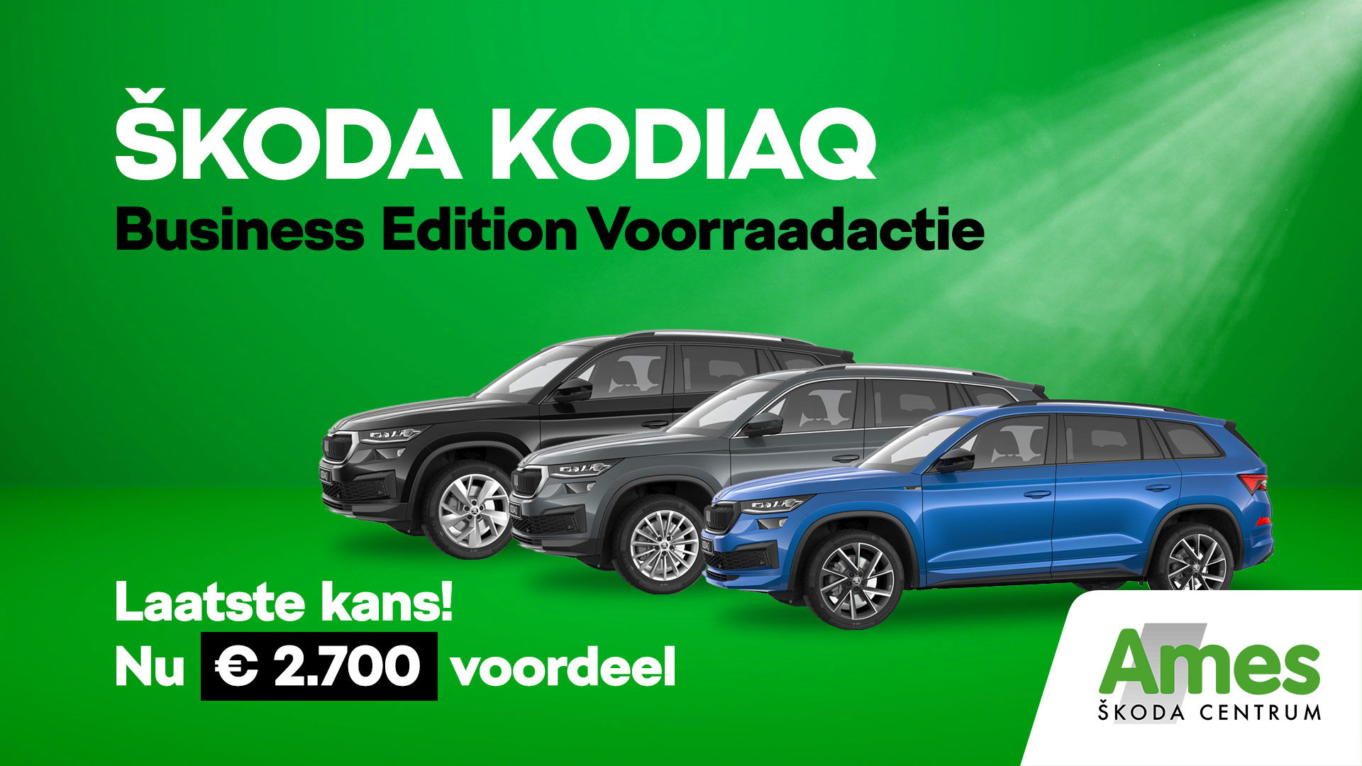 kodiaq voorraad