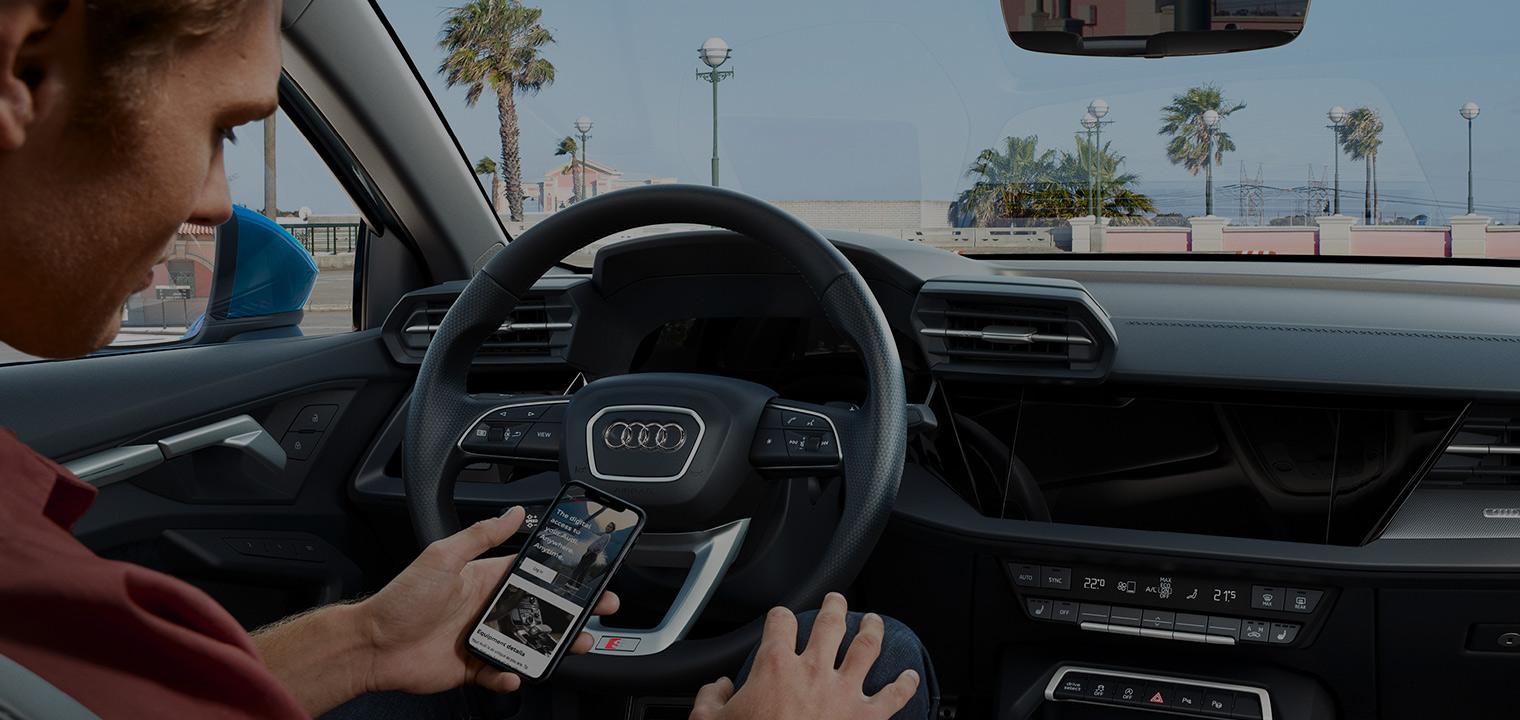 Audi Connect (1)