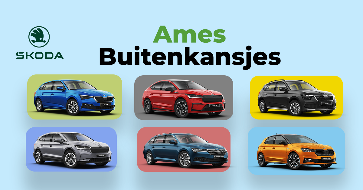 Multibanner Skoda