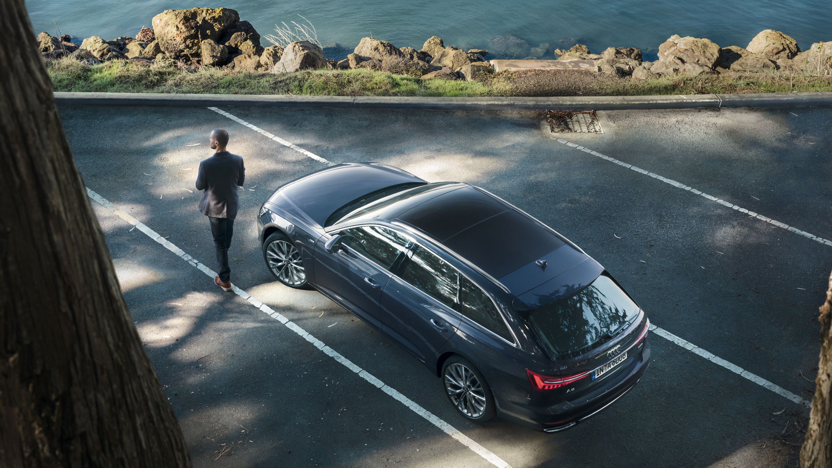 Audi A6 Avant (1)